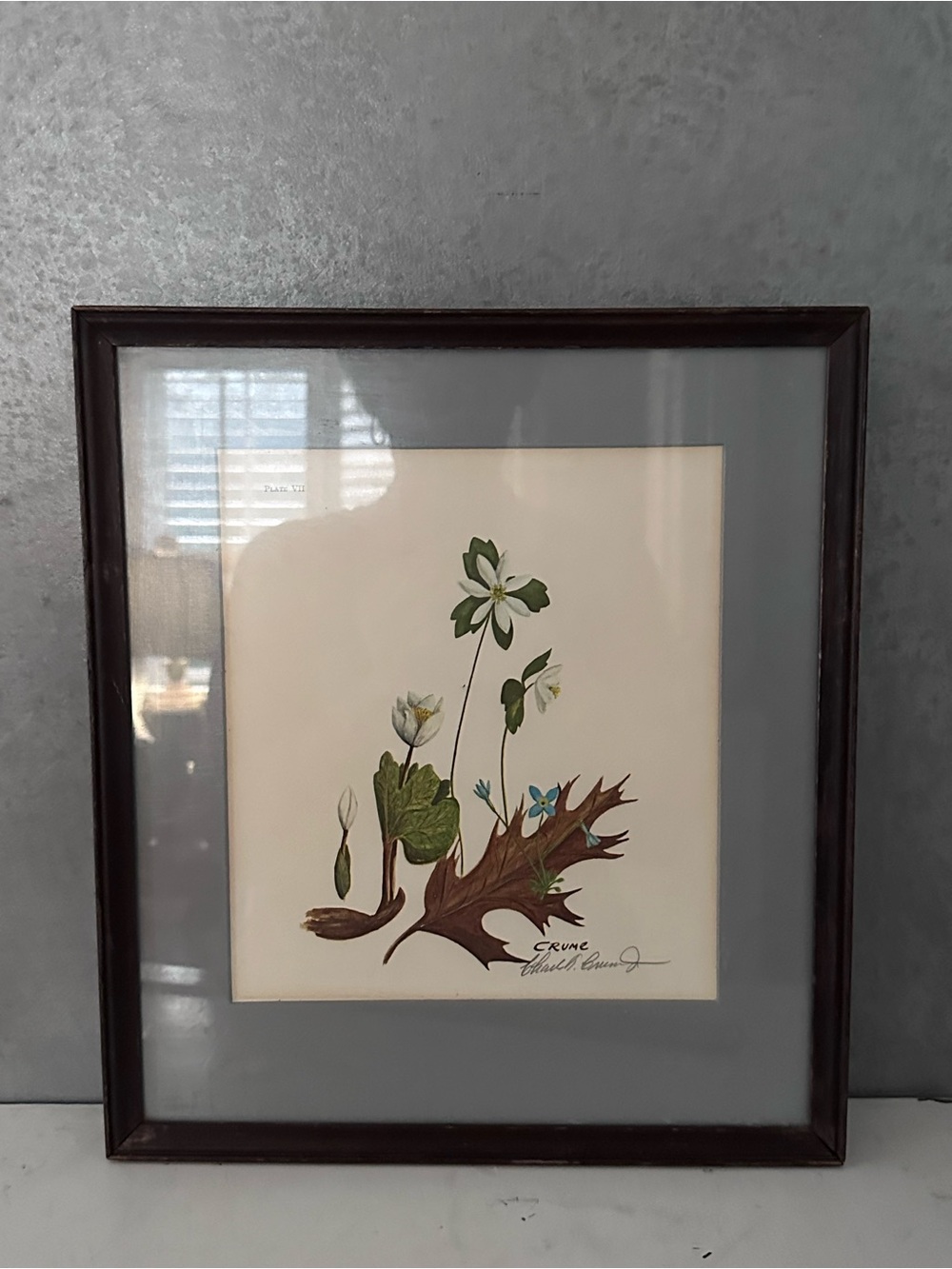 FRAMED Rare FIND 1969 Charles T Crume Plate VII 7 Signed Art Print